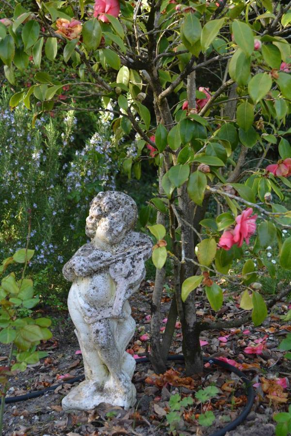 Saint-Martin-Lacaussade La Cabanne B&B 외부 사진